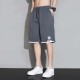 Ice silk shorts men's summer 2025 new quick-dry workwear 5-inch loose casual sport mid-length pants Ice silk shorts men's summer 2025 new quick-dry workwear 5-inch loose casual sport mid-length pants